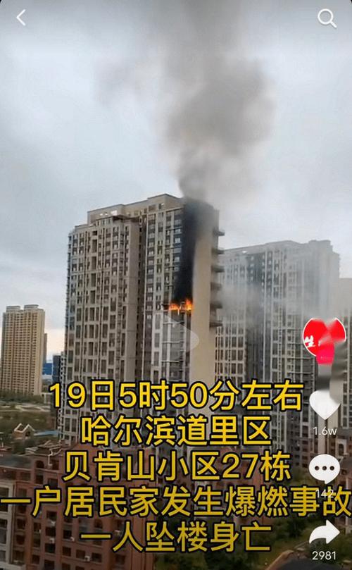 哈尔滨哪些多层小区比较好哈尔滨大火烧死20名老人哈尔滨火凤凰是怎么飞的